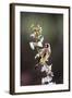 Goldfinch-Colin Varndell-Framed Premium Photographic Print