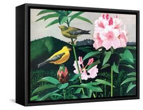 Goldfinch-Fred Ludekens-Framed Stretched Canvas