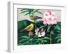 Goldfinch-Fred Ludekens-Framed Giclee Print