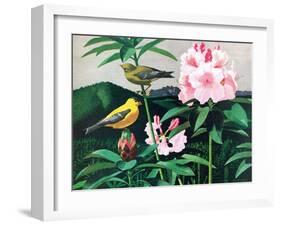 Goldfinch-Fred Ludekens-Framed Giclee Print