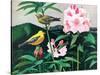 Goldfinch-Fred Ludekens-Stretched Canvas