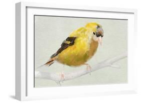 Goldfinch-Sarah Butcher-Framed Premium Giclee Print