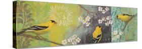 Goldfinches Blooming-Margaret Donharl-Stretched Canvas