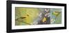 Goldfinches Blooming-Margaret Donharl-Framed Art Print