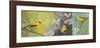 Goldfinches Blooming-Margaret Donharl-Framed Art Print