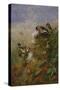 Goldfinches on Thistles-Archibald Thorburn-Stretched Canvas