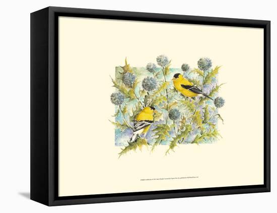 Goldfinches-Janet Mandel-Framed Stretched Canvas