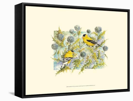 Goldfinches-Janet Mandel-Framed Stretched Canvas