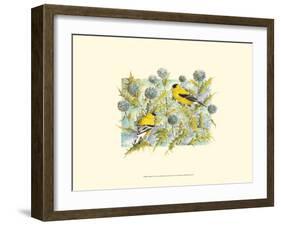 Goldfinches-Janet Mandel-Framed Art Print