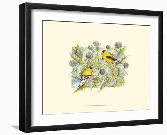 Goldfinches-Janet Mandel-Framed Art Print