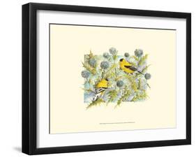 Goldfinches-Janet Mandel-Framed Art Print