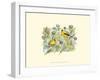 Goldfinches-Janet Mandel-Framed Art Print