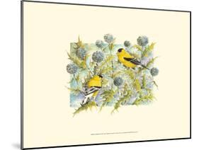 Goldfinches-Janet Mandel-Mounted Art Print