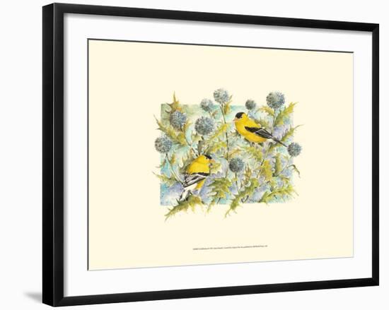 Goldfinches-Janet Mandel-Framed Art Print