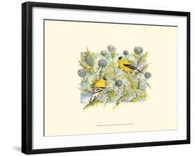 Goldfinches-Janet Mandel-Framed Art Print