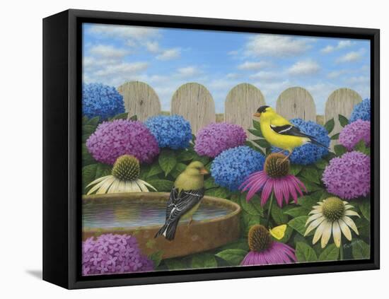 Goldfinches-Robert Wavra-Framed Stretched Canvas