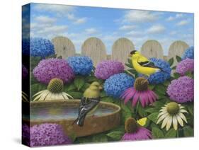 Goldfinches-Robert Wavra-Stretched Canvas