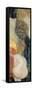 Goldfish, 1901-1902-Gustav Klimt-Framed Stretched Canvas