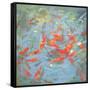 Goldfish, 2010-Andrew Macara-Framed Stretched Canvas