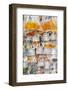 Goldfish at Goldfish Market, Hong Kong, China-Peter Adams-Framed Photographic Print