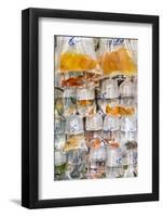 Goldfish at Goldfish Market, Hong Kong, China-Peter Adams-Framed Photographic Print