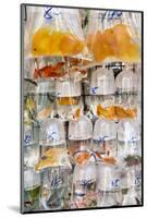 Goldfish at Goldfish Market, Hong Kong, China-Peter Adams-Mounted Photographic Print