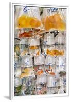 Goldfish at Goldfish Market, Hong Kong, China-Peter Adams-Framed Premium Photographic Print