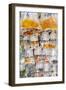 Goldfish at Goldfish Market, Hong Kong, China-Peter Adams-Framed Photographic Print