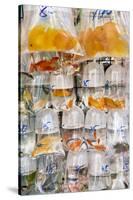 Goldfish at Goldfish Market, Hong Kong, China-Peter Adams-Stretched Canvas