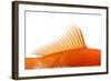 Goldfish, Dorsal Fin-Herbert Kehrer-Framed Photographic Print