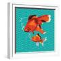 Goldfish I-Patty Young-Framed Art Print