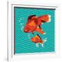 Goldfish I-Patty Young-Framed Art Print