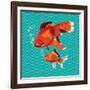 Goldfish I-Patty Young-Framed Art Print