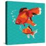 Goldfish I-Patty Young-Stretched Canvas