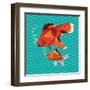 Goldfish I-Patty Young-Framed Art Print