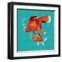 Goldfish I-Patty Young-Framed Art Print