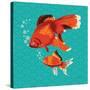 Goldfish I-Patty Young-Stretched Canvas