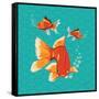 Goldfish II-Patty Young-Framed Stretched Canvas