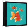 Goldfish II-Patty Young-Framed Stretched Canvas