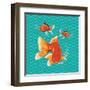 Goldfish II-Patty Young-Framed Art Print