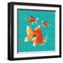 Goldfish II-Patty Young-Framed Art Print