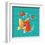 Goldfish II-Patty Young-Framed Art Print