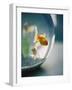 Goldfish in Fish Bowl-Elisa Cicinelli-Framed Photographic Print