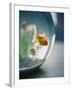 Goldfish in Fish Bowl-Elisa Cicinelli-Framed Photographic Print