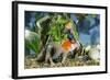 Goldfish in Fishtank-null-Framed Photographic Print