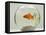 Goldfish in Goldfish Bowl with Weed-null-Framed Stretched Canvas