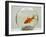 Goldfish in Goldfish Bowl with Weed-null-Framed Photographic Print