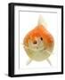 Goldfish in Studio-null-Framed Photographic Print