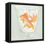 Goldfish IV-Unknown Beresford-Framed Stretched Canvas