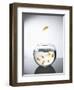 Goldfish jumping out of a bowl and escaping from the crowd-Steve Lupton-Framed Premium Photographic Print